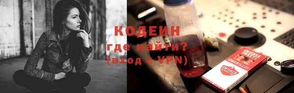 спиды Богданович