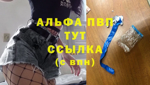 спиды Богданович