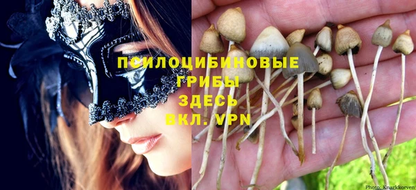 ешки Богородск