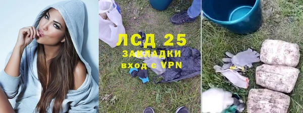 спиды Богданович