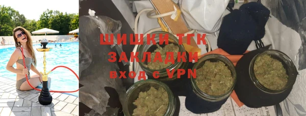 спиды Богданович