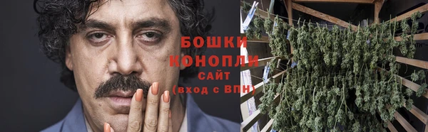 спиды Богданович